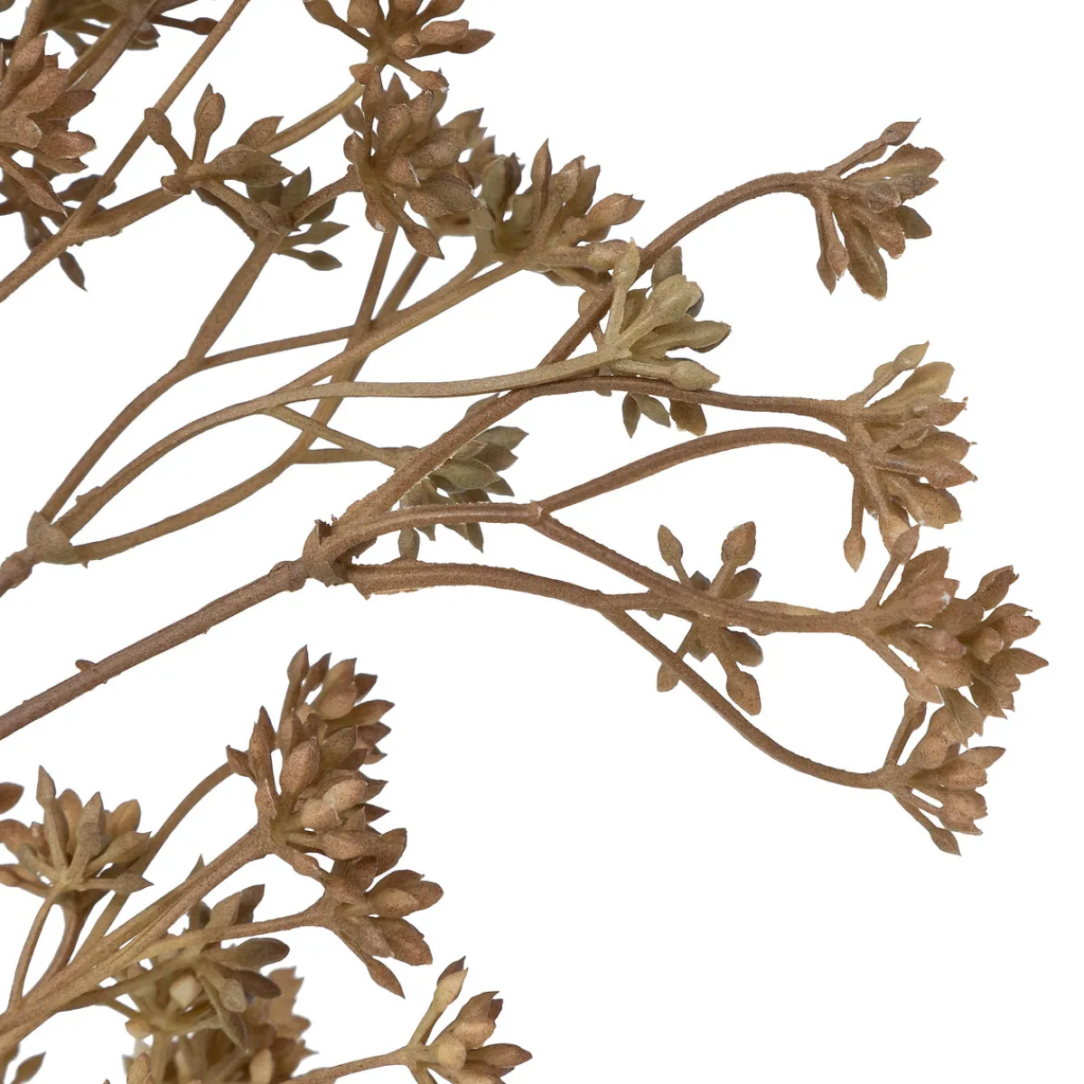 Tige achillée artificielle "James"*ATMOSPHERA Online