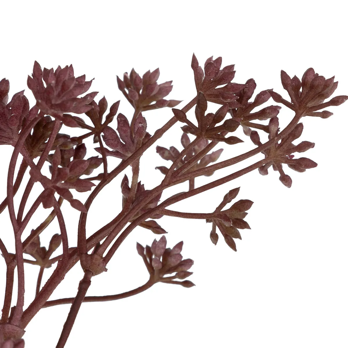 Tige achillée artificielle "James"*ATMOSPHERA Online