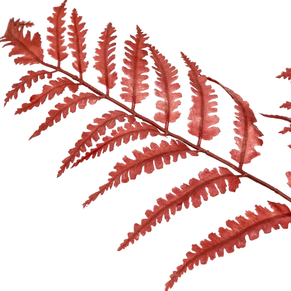 Tige d'eucalyptus artificielle "James"*ATMOSPHERA Online