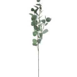 Tige d'eucalyptus artificiel*ATMOSPHERA Best