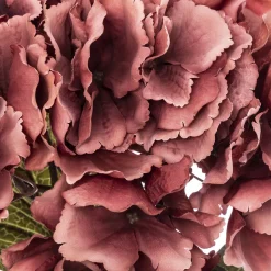 Tige d'hortensia artificiel*ATMOSPHERA