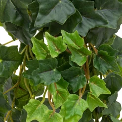 Tige tombante artificielle de lierre "Tria"*ATMOSPHERA New