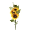 Tournesol artificiel*ATMOSPHERA Online