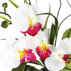 Vase orchidées artificielles*ATMOSPHERA New