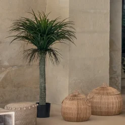 Yucca artificiel "Tropiques"*ATMOSPHERA Sale